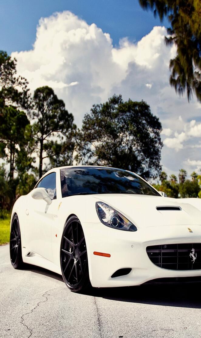 White Ferrari