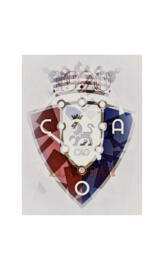 Escudo CAO