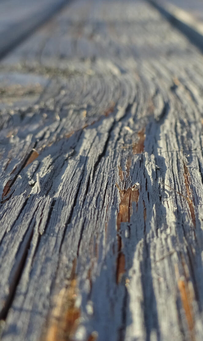 Old Wood