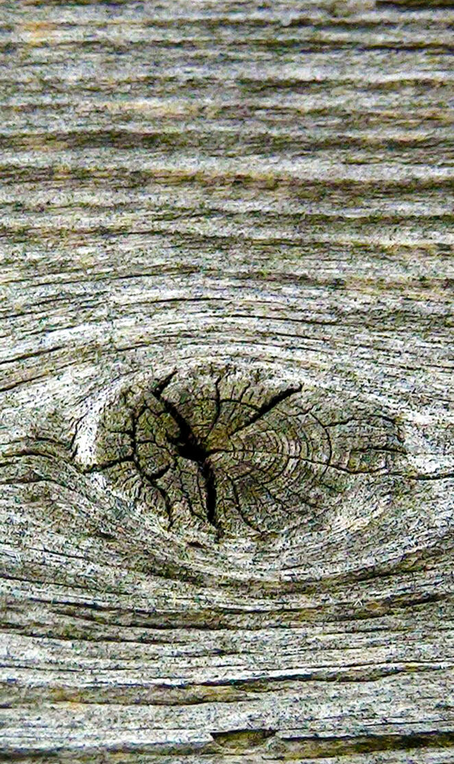 old wood