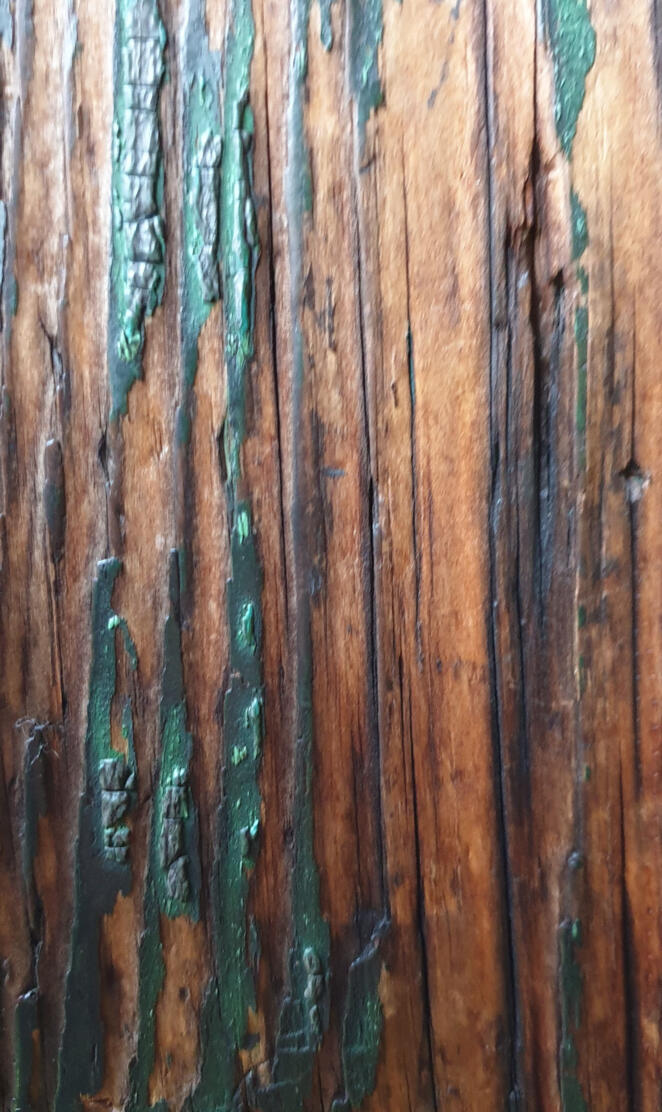 old wood