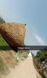 Village vibes