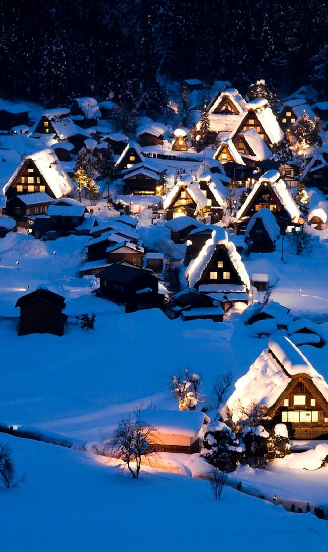 Village in the snow