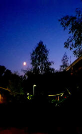 Village in the Night