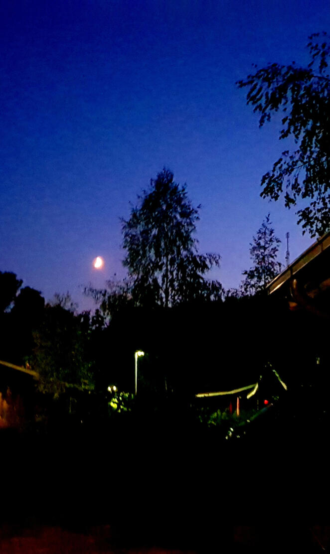 Village in the Night