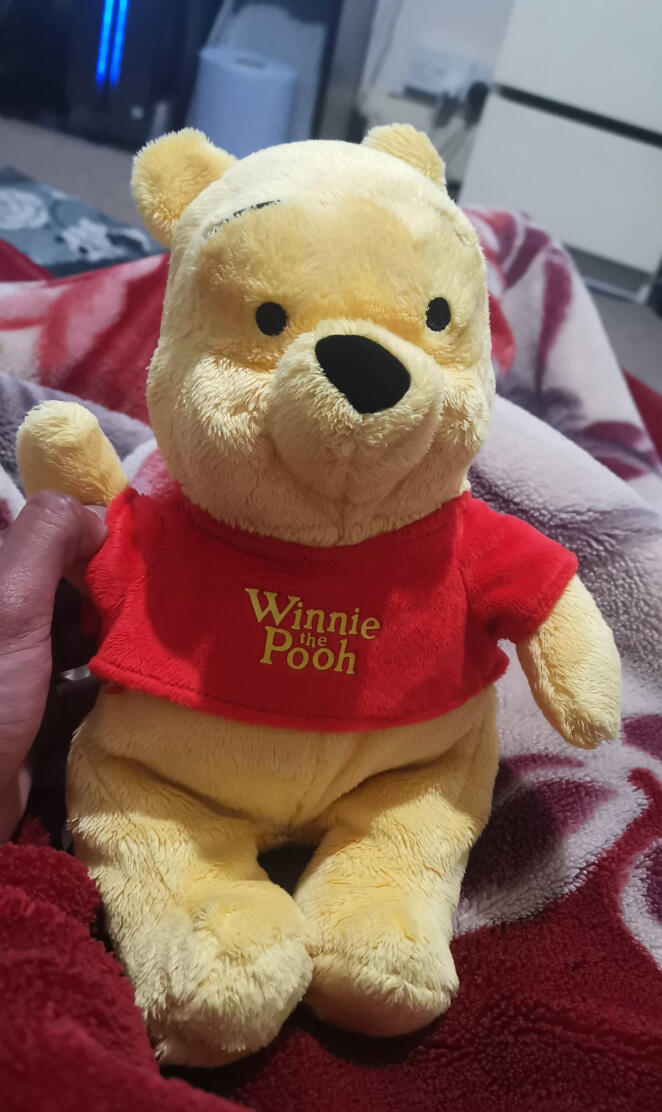 Winnie the pooh 