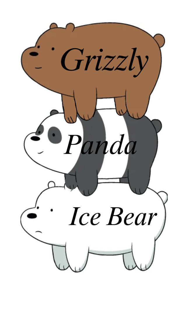 We bare bears