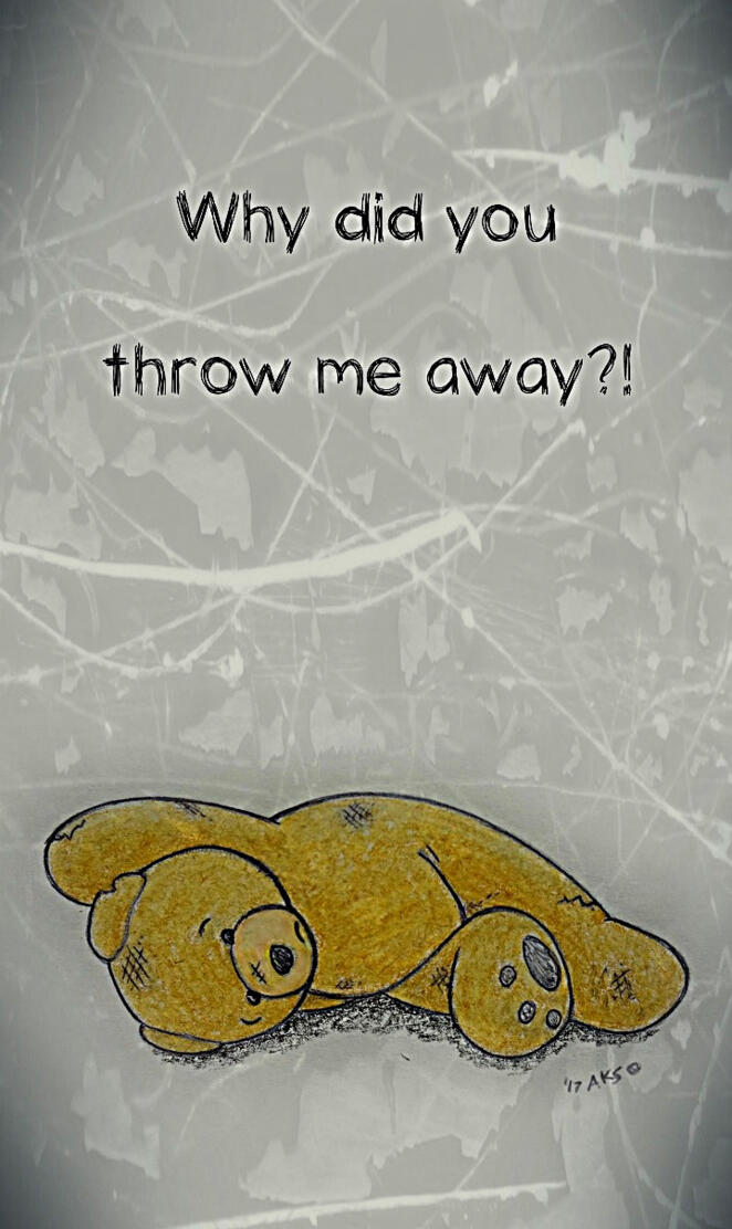 Bear Throw Away