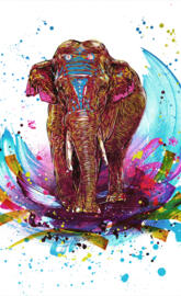 Colourful elephant