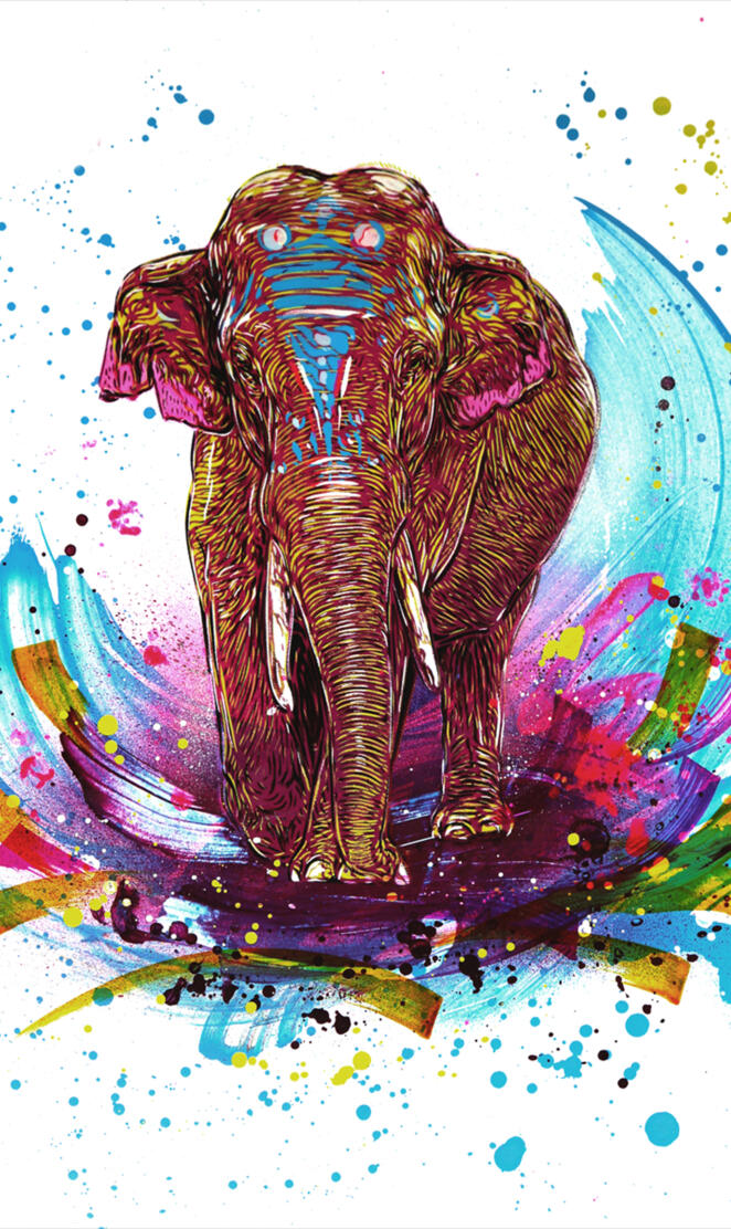 Colourful elephant