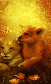 Lion Babys