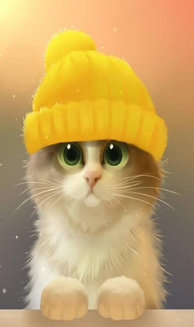 Cat wallpaper huawei