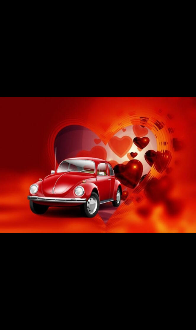 Vw bug love