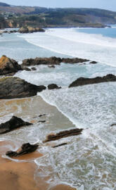 Galicia