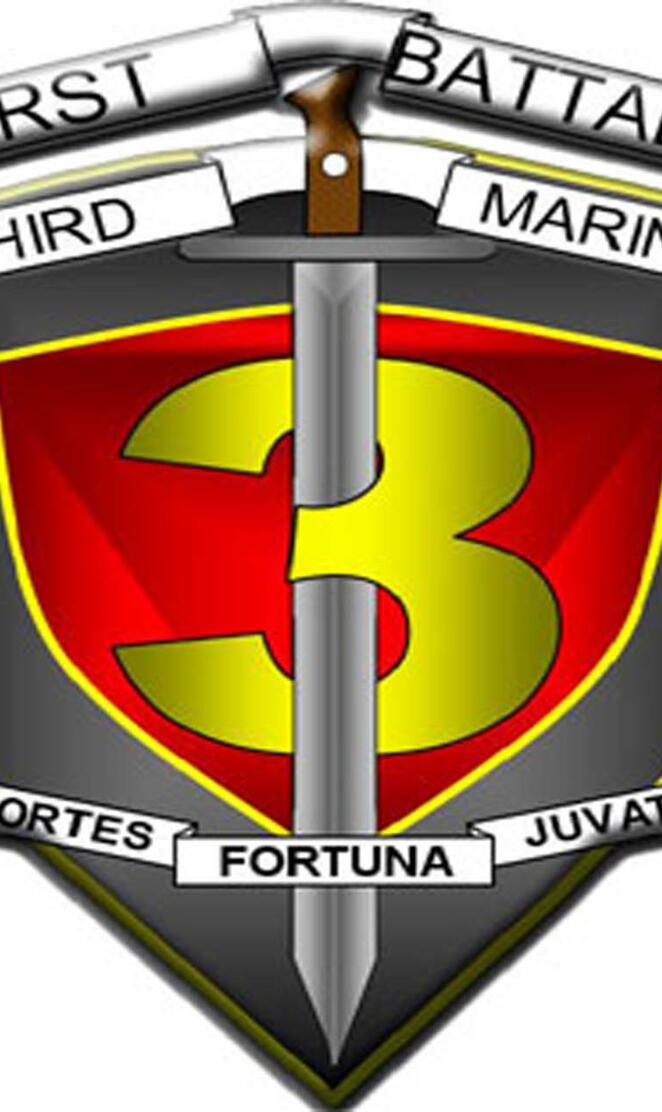 Usmc 1st Bn 3rd Mar