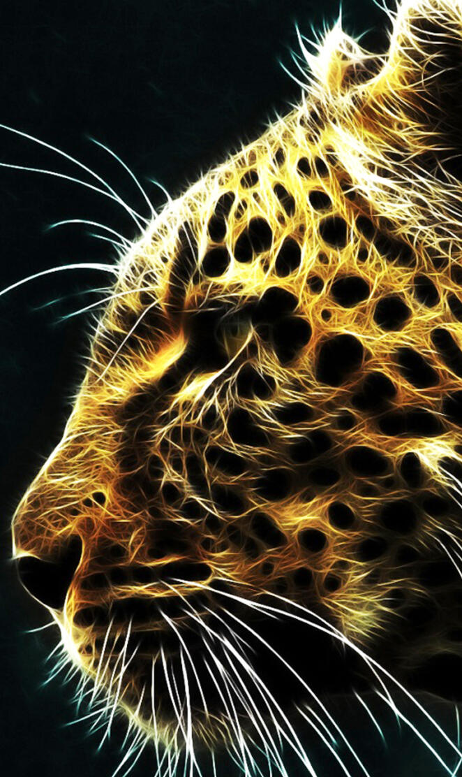 Leopardo