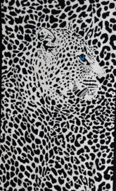 Leopard in art