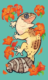 Cute Leopard Gecko