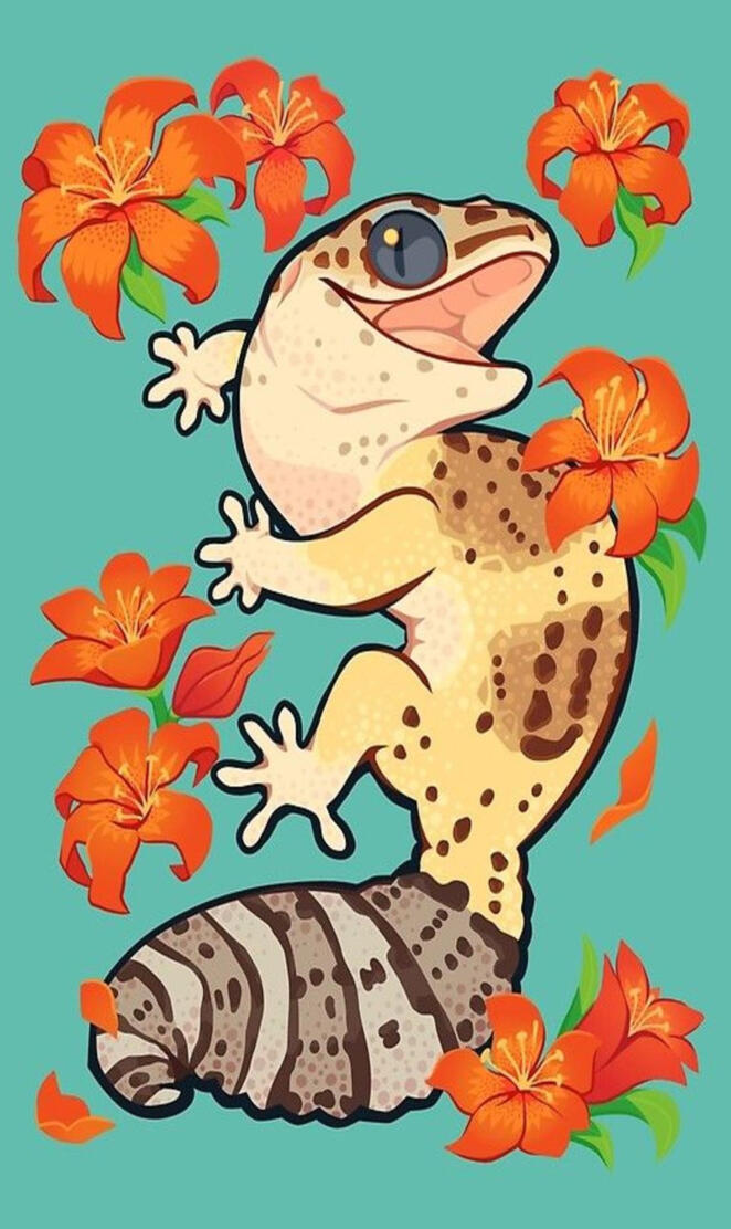 Cute Leopard Gecko