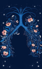 Acinco passos devoce