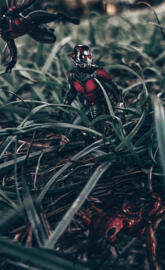ant-man 