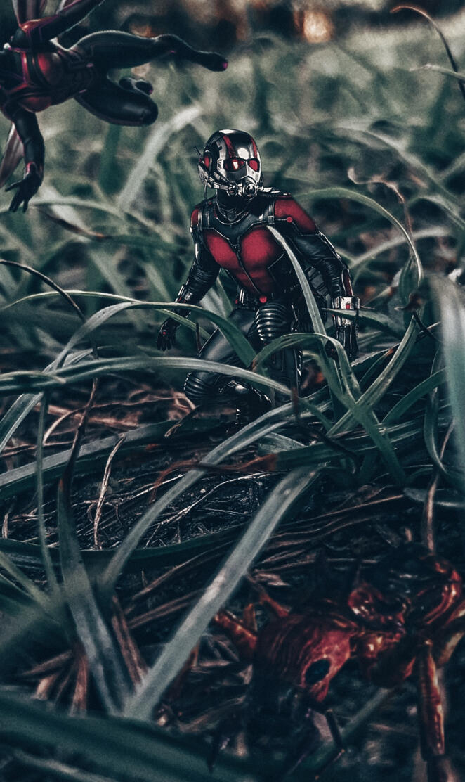 ant-man 