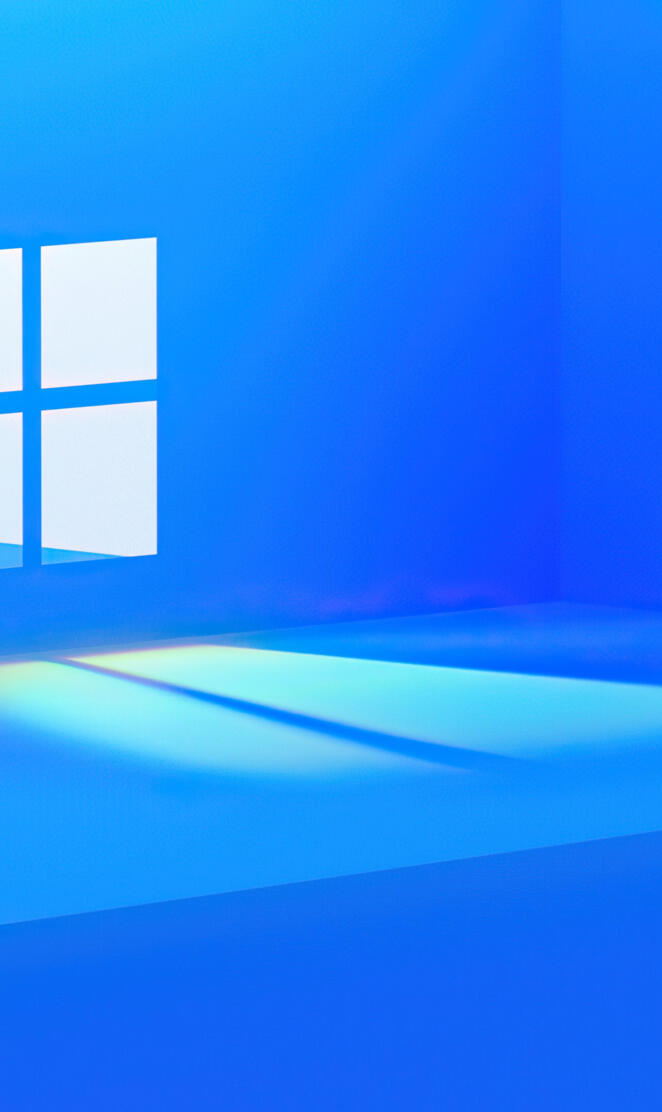 windows 11