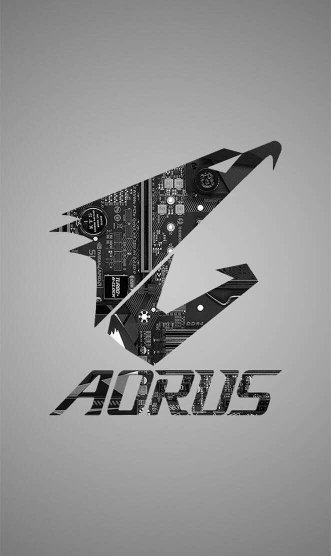 AORUS