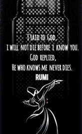 Rumi saying 