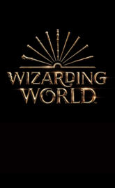 Wizarding World
