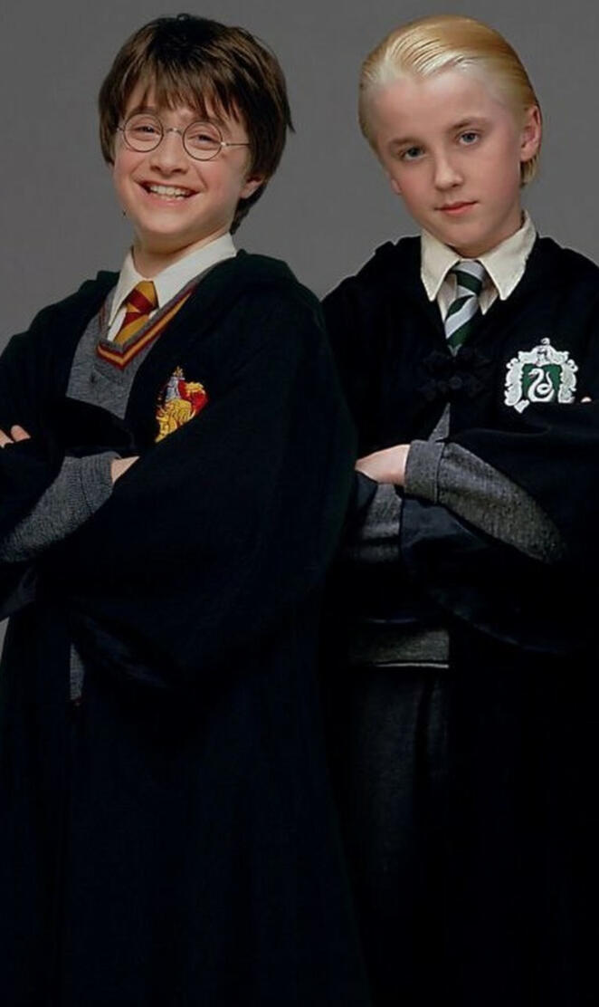 Harry and Draco 