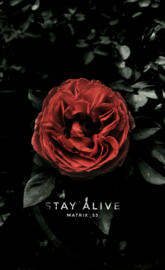 Stay Alive