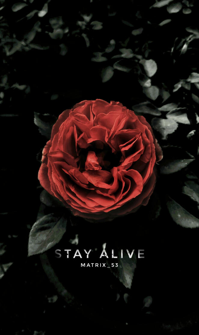 Stay Alive