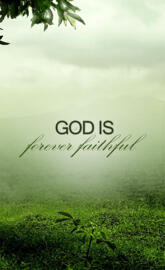 quote 11