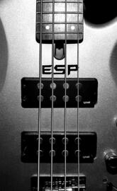 Yamaha bass Esp