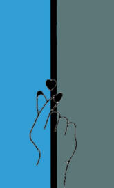 50/50 blue and green