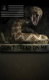 Dont Tread On Me
