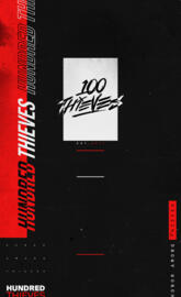100 Thieves
