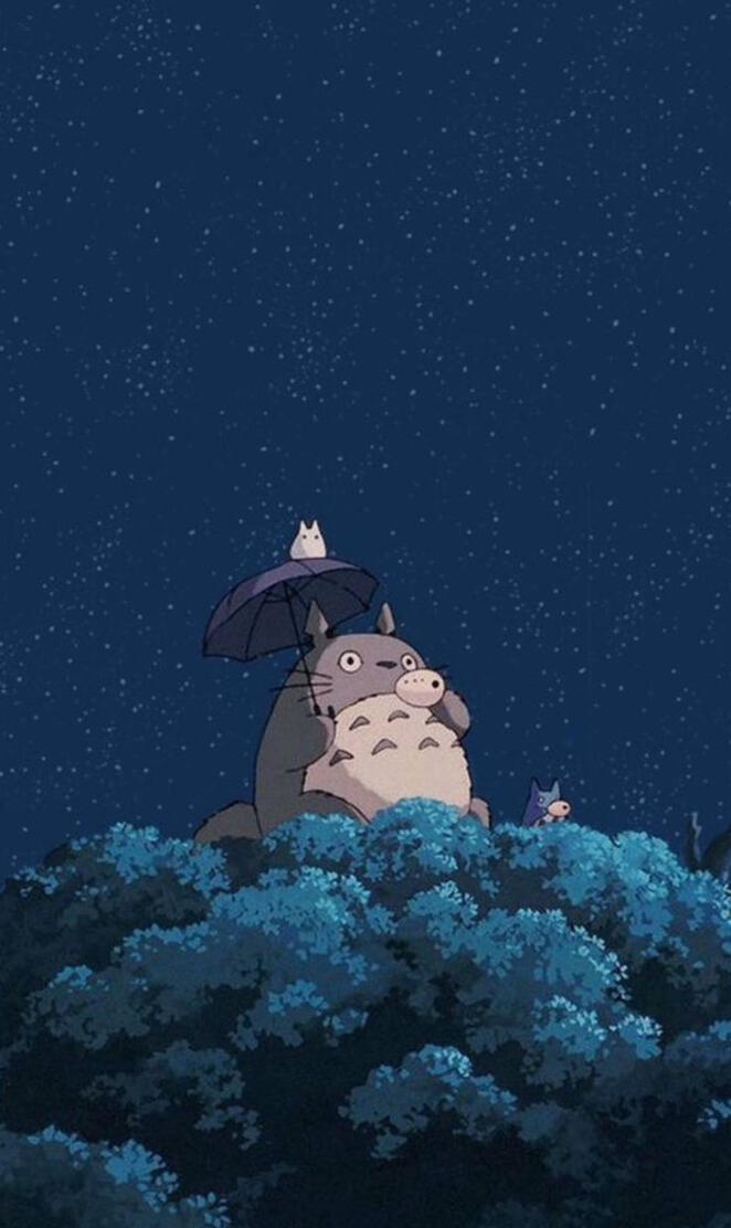 Totoro 