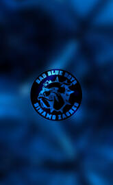 Bad blue boys dinamo