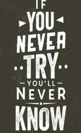 If you never try