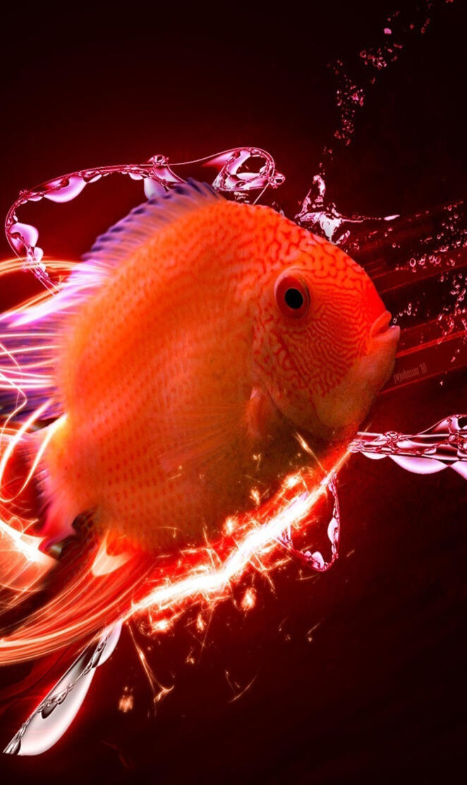 Fish 3d