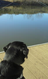 Fishing Buddy