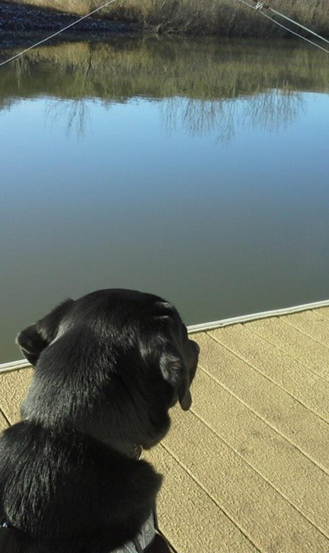 Fishing Buddy