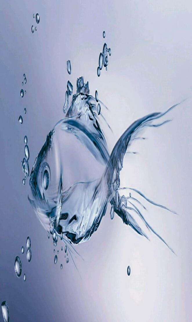 Fish 3d image