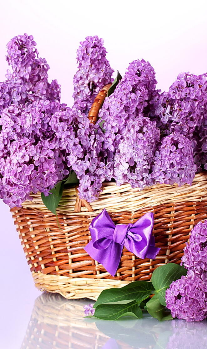 Basket Of Lilacs