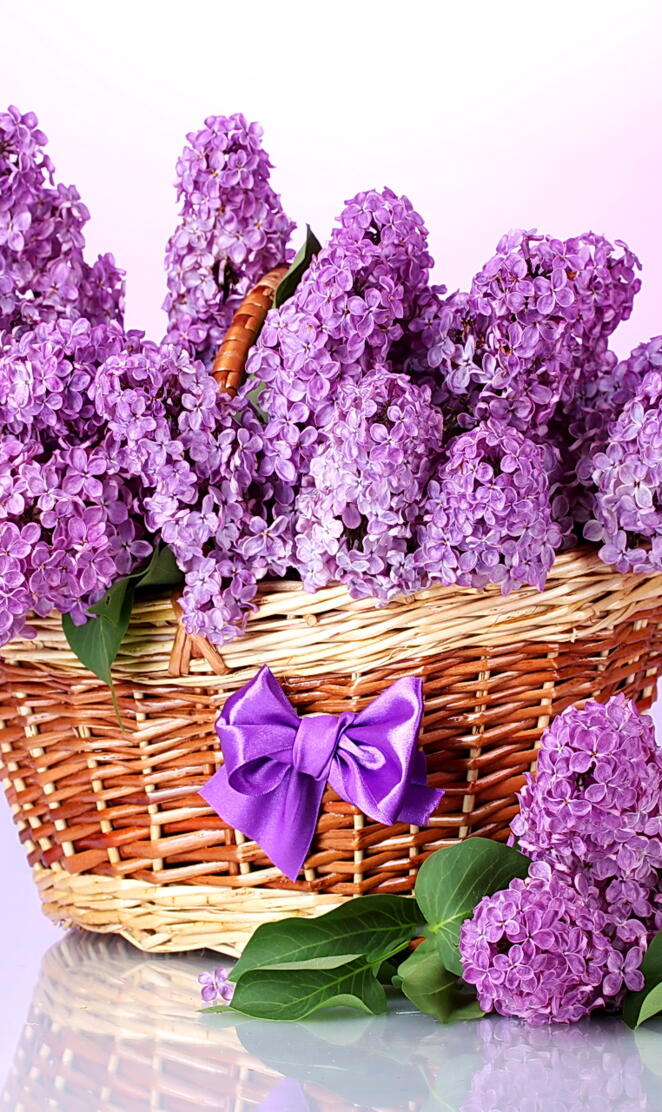 Basket Of Lilacs