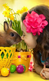 Kid Bunny Love