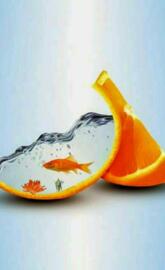 Orange fish water 3d