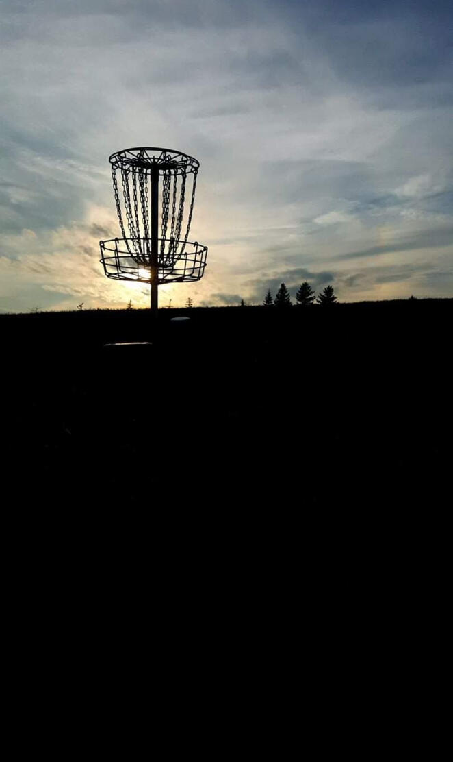 Disc Golf Dawn